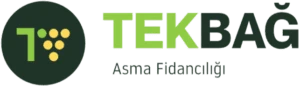 Tekbağ