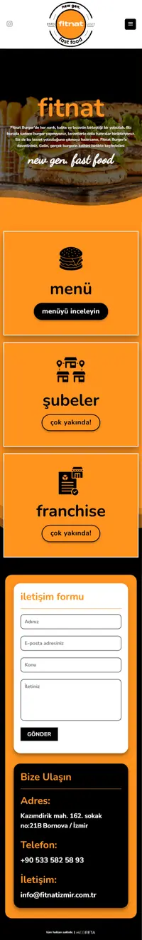 Fitnat web sitesi mobil görünümü