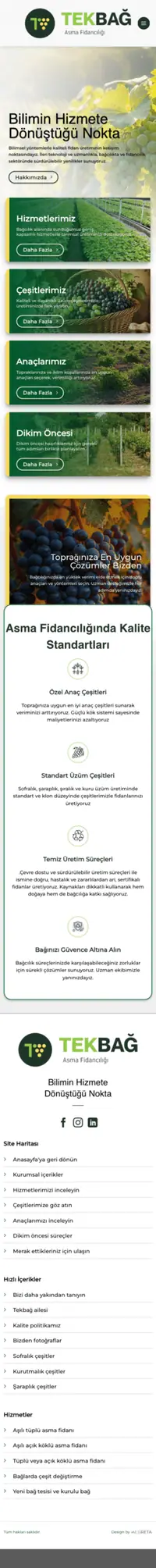 Tekbağ web sitesi mobil görünümü