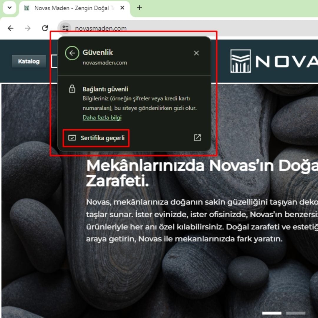 Web Site Güvenli Altyapı